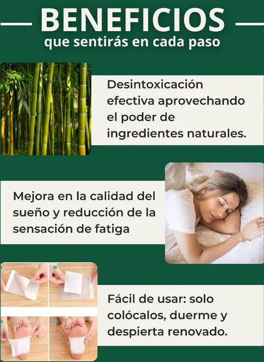 KINOKI-PARCHES DESINTOXICANTES